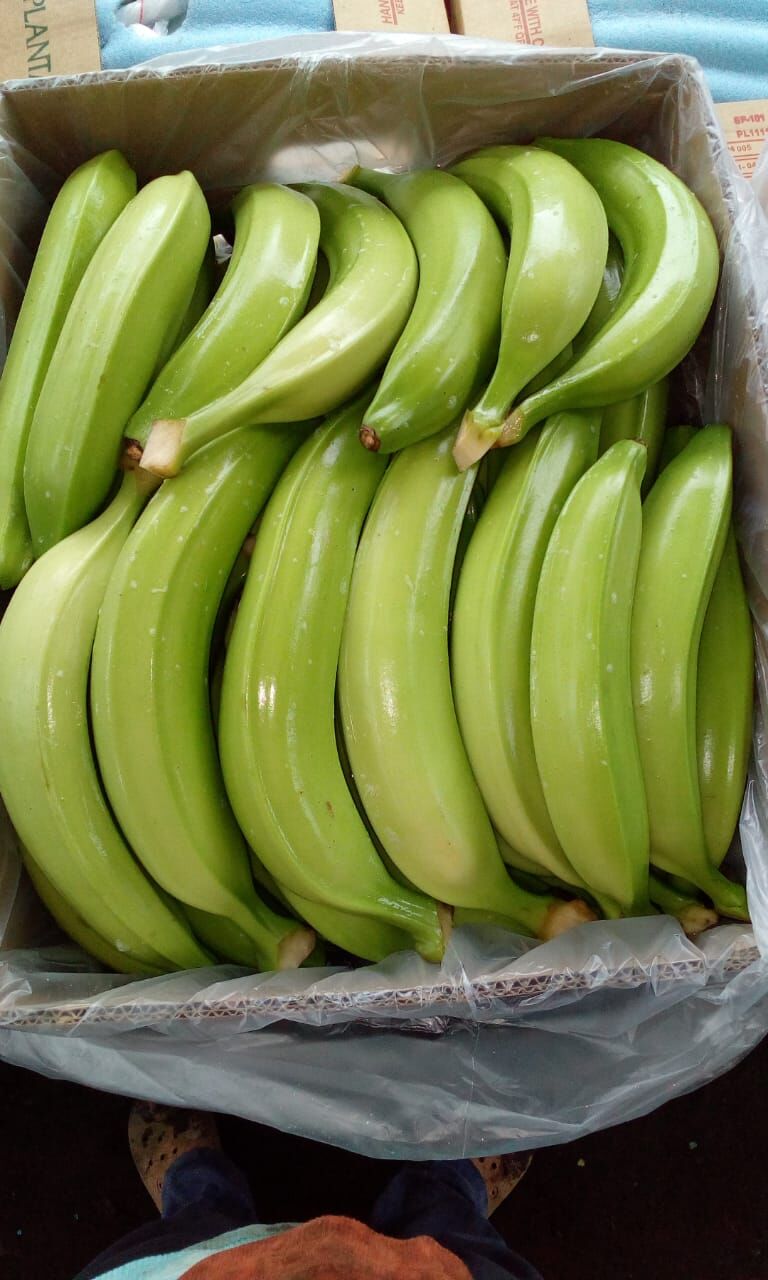 Planta de empaque